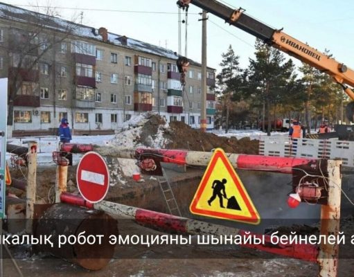 Адамның эмоциясын түсінетін жоғары технологиялық робот көпшілікке таныстырылды