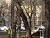 Грозит ли Казахстану массовая безработица: прогноз