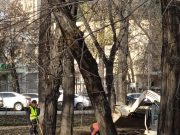 Грозит ли Казахстану массовая безработица: прогноз Home