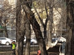 Грозит ли Казахстану массовая безработица: прогноз