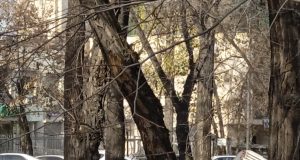 Грозит ли Казахстану массовая безработица: прогноз Home