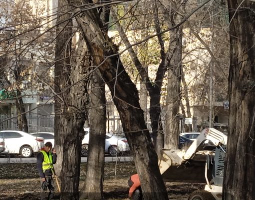 Грозит ли Казахстану массовая безработица: прогноз