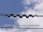 В Китае роботы-змеи ползают по проводам и находят неисправности ещё до аварий Home