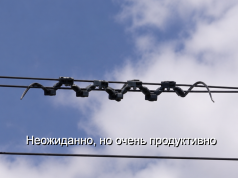 В Китае роботы-змеи ползают по проводам и находят неисправности ещё до аварий