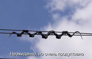 В Китае роботы-змеи ползают по проводам и находят неисправности ещё до аварий Home