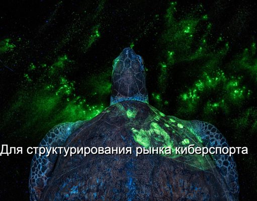 Казахстанские разработчики презентовали новую платформу киберспорта и онлайн-лиг