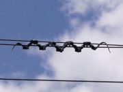 Қытайда электр желілерін тексеретін жылан пішіндес роботтар апаттың алдын алуға мүмкіндік беріп отыр
