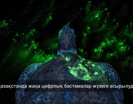 Қазақстанда киберспорт пен цифрлық спортты дамытуға бағытталған жаңа жобалар іске қосылды
