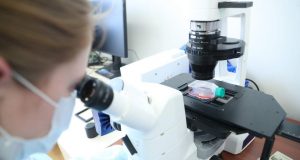 Казахстан тестирует университет будущего: обучение будут строить алгоритмы Home