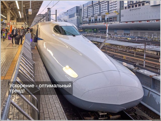 scale_1200 (2)