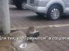 В Казахстане предложили контролировать прямые эфиры в соцсетях и на YouTube