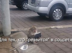 В Казахстане предложили контролировать прямые эфиры в соцсетях и на YouTube