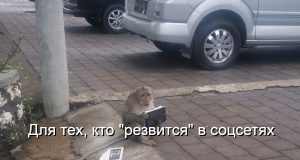 В Казахстане предложили контролировать прямые эфиры в соцсетях и на YouTube Home