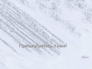 Для ИИ меняют цели, кто автор чипа-гиганта для всего мира, чем Интел шокирует пользователей, зачем радикально переработали Siri, помните всегда о госбиометрии – дайджест новостей мира мобильной электроники Home