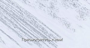 Для ИИ меняют цели, кто автор чипа-гиганта для всего мира, чем Интел шокирует пользователей, зачем радикально переработали Siri, помните всегда о госбиометрии – дайджест новостей мира мобильной электроники Home