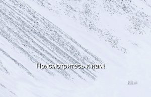 Для ИИ меняют цели, кто автор чипа-гиганта для всего мира, чем Интел шокирует пользователей, зачем радикально переработали Siri, помните всегда о госбиометрии – дайджест новостей мира мобильной электроники Home