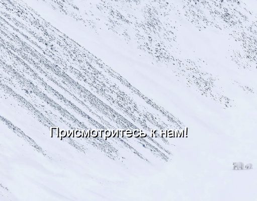 Для ИИ меняют цели, кто автор чипа-гиганта для всего мира, чем Интел шокирует пользователей, зачем радикально переработали Siri, помните всегда о госбиометрии – дайджест новостей мира мобильной электроники