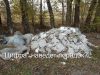 «Таза Қазақстан» – актуально для всех