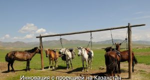 В Монголии появится казахстанский «Космический пастух» для лошадей Home