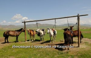 В Монголии появится казахстанский «Космический пастух» для лошадей Home