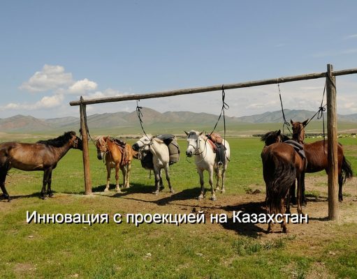 В Монголии появится казахстанский «Космический пастух» для лошадей