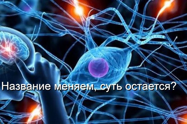 821523505_2203349103730059_2444151415424738474_n