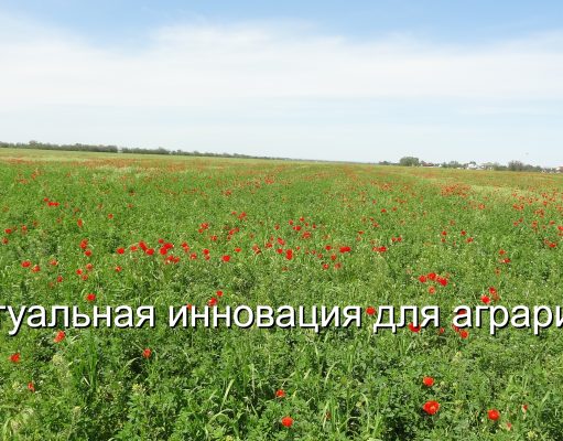 Казахстанские студенты научили ИИ выявлять болезни растений