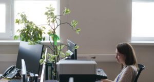 Microsoft назвала срок окончания поддержки Internet Explorer в Edge Home