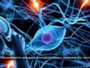 Трамп АҚШ мемлекеттік органдарына «жасанды интеллект» атауының орнына «аса жоғары интеллект» терминін қолдануды тапсырды Жаңалықтар